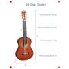 Klasik Gitar Başlangıç Seti (4/4 Yetişkin Boy, Kahve)