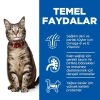 Kuzu Etli Yetişkin Kedi Maması, 8+2 kg