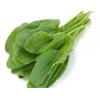 Kuzu Kulağı Tohumu - 5 Gram, Canlı Yeşil