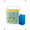 Limon Desenli Buzluk, 24 Litre + 2 Buz Kaseti