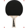 Masa Tenisi Raket ve Top Seti