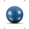 Mavi Pilates ve Egzersiz Topu