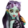 Monster High Jinafire Long Bebek ve Aksesuar Seti