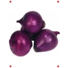 Mor Soğan Tohumu (3 gr) - Renkli ve Keskin