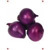 Mor Soğan Tohumu (3 gr) - Renkli ve Keskin