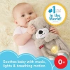 Müzikli Peluş Bebek Oyuncağı - Su Samuru Temalı, Eğlenceli ve Rahatlatıcı