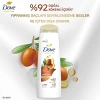 Onarıcı Saç Bakım Şampuanı, Arn Yağı ve 400 ml