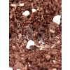 Özel Karışım Saksı Harcı, Cocopeat ve Perlit, Çiçek ve Bitki İçin 3 Litre