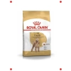 Poodle Irkı Yetişkin Köpek Kuru Maması 3 Kg