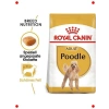 Poodle Irkı Yetişkin Köpek Kuru Maması 3 Kg