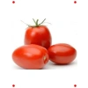 Rio Domates Tohumu (10 gr)
