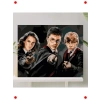 Sayılarla Boyama Tuval Seti - Harry Potter Temalı, 40x50cm