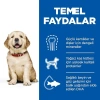 SCIENCE PLAN  Irk Tavuklu Yavru Köpek Maması 14.5
