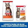 SCIENCE PLAN Yetişkin Kuzulu Kedi Maması 3