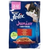 Sığır Etli Yavru Kedi Yaş Mama, 26 x 85 gr