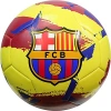 Team Soccer Ball