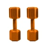 Turuncu Renkli 2 Dambıl Seti, Toplamda 4 Ağırlık ile