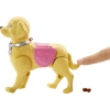 Tuvalet Eğitimi için Eğlenceli Köpek Oyuncağı ile Oyun Zamanı