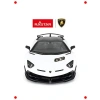 Uzaktan Kumandalı Işıklı Spor Araba 1:14 Ölçek