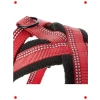 XL Boy Kırmızı Ayarlanabilir Köpek Göğüs Tasması