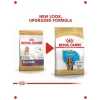 Yavru Cocker İçin Özel Kuru Köpek Maması (3 kg)