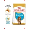 Yavru Cocker İçin Özel Kuru Köpek Maması (3 kg)