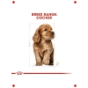 Yavru Cocker İçin Özel Kuru Köpek Maması (3 kg)