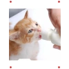 Yavru Kedi Köpek Biberonu 2 Emzikli 50 ml