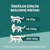 Yetişkin Kedi İçin Sığır Etli Kuru Mama - 800 g