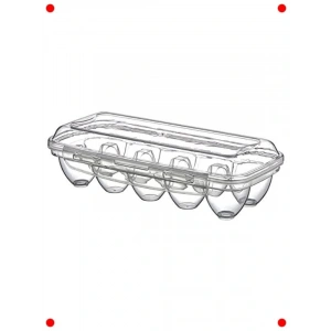 10 Bölmeli Kilitli Yumurta Saklama Kutusu