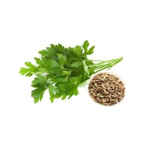 10 Gram İri Yaprak Maydanoz Tohumu, Çoklu Paket