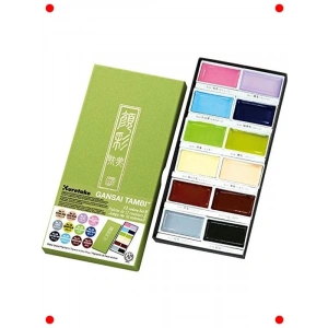 12li Premium Suluboya Boya Seti