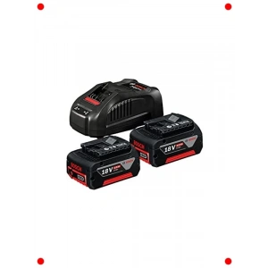 18V Akü Şarj Seti (2 x 5.0 Ah Li-Ion Akü)