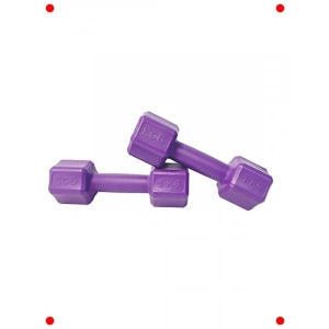 2 Kg Dambıl Seti - Hafif Egzersiz Ağırlıkları