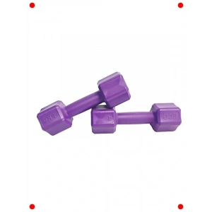 2 Kg Dambıl Seti - Hafif Egzersiz Ağırlıkları