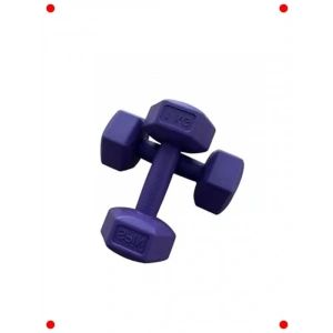 2li 1 Kg Köşeli Plastik Egzersiz Dambıl Seti