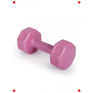 2 x 1 kg Pembe Dambıl Seti – Dayanıklı Malzeme