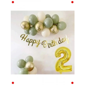 2 Yaş Doğum Günü Balonlu Parti Konsept Seti