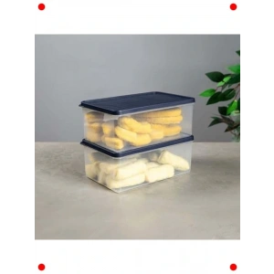 2.1 L Derin Dondurucu Saklama Kabı