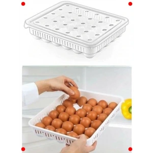 30 Kapaklı Akrilik Yumurta Saklama Kabı