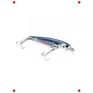 3D Gerçekçi Kıyı Balık Yemi - Fingerling Modeli