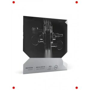 4/4 Keman Tel Takımı - fesyonel Performans İçin