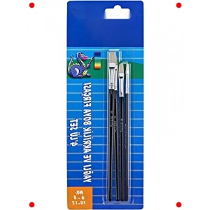 4lü Yağlı ve   Fırça Seti