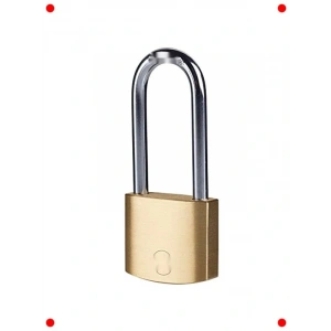 40mm Pirinç Asma Kilit - Uzun Halka, Yüksek Koruma