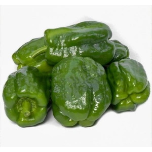 5 Gram Dolmalık Biber Antep Acı Tohumu, Çoklu Paket