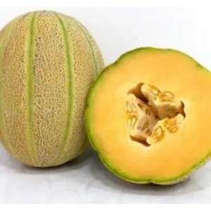 5 Gram Kavun Şeker Tohumu, Çoklu Paket