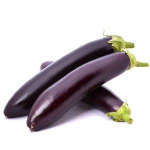 5 Gram Kemer Patlıcan Tohumu, Çoklu Paket