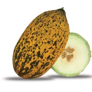 5 Gram Kırkağaç Kavun Tohumu, Çoklu Paket