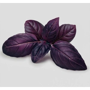 5 Gram Mor Reyhan Tohumu, Çoklu Paket