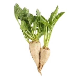 5 Gram Şeker Pancarı Tohumu, Çoklu Paket